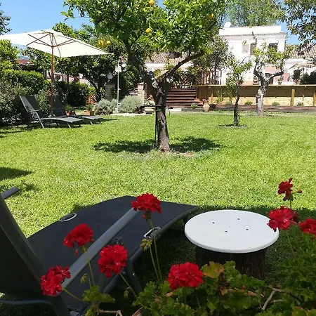 Hotel Terrenia 3*